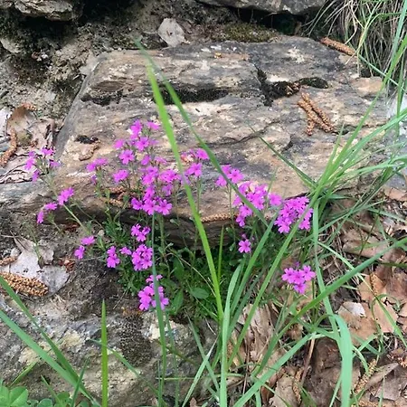 El Estacho De Apartament *