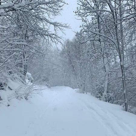 El Estacho De * Panticosa