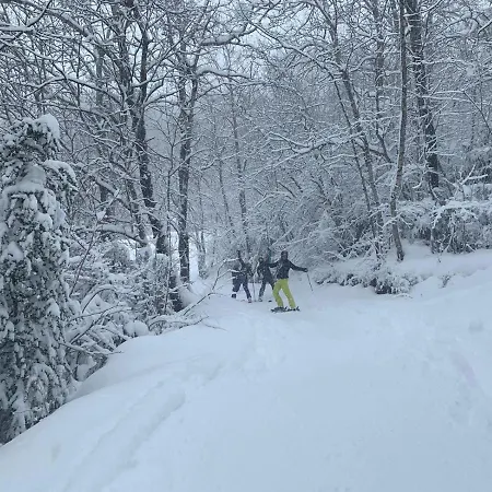 El Estacho De Daire *