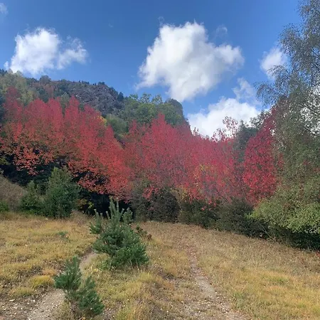 El Estacho De Apartament Panticosa